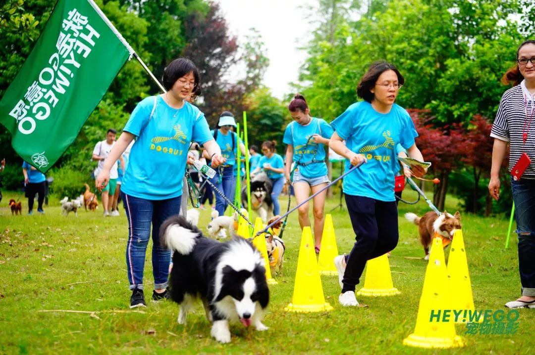 顶级赛事中出现重大变故,赛果扑朔迷离的简单介绍 顶级赛事中出现重大变故,赛果扑朔迷离的简单介绍